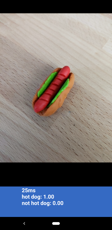 Hotdog not-hotdog screenshot